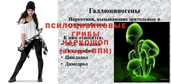 стаф Алексеевка