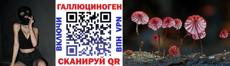 Псилоцибиновые грибы Psilocybe  купить   Узловая 