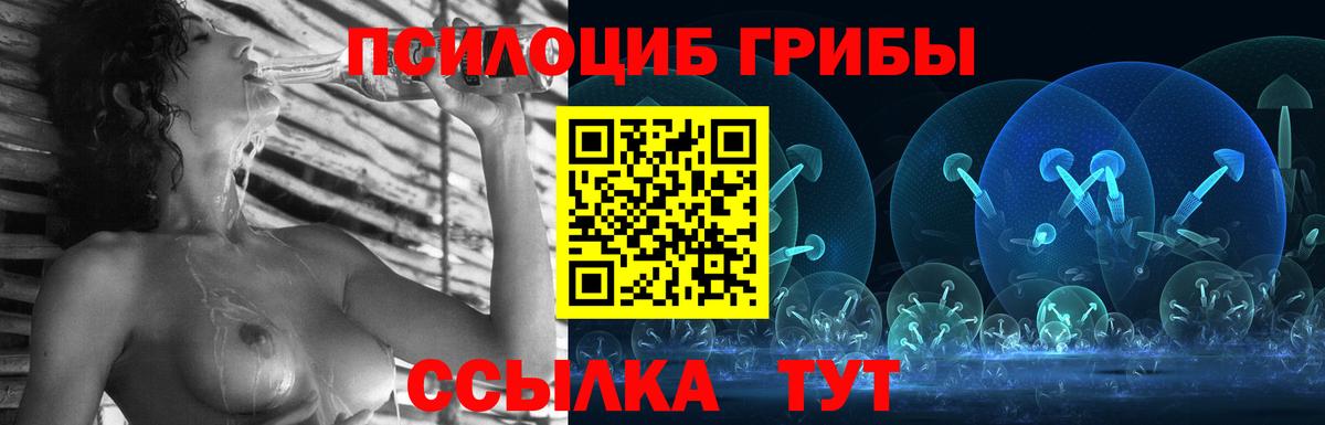 Псилоцибиновые грибы мицелий Узловая